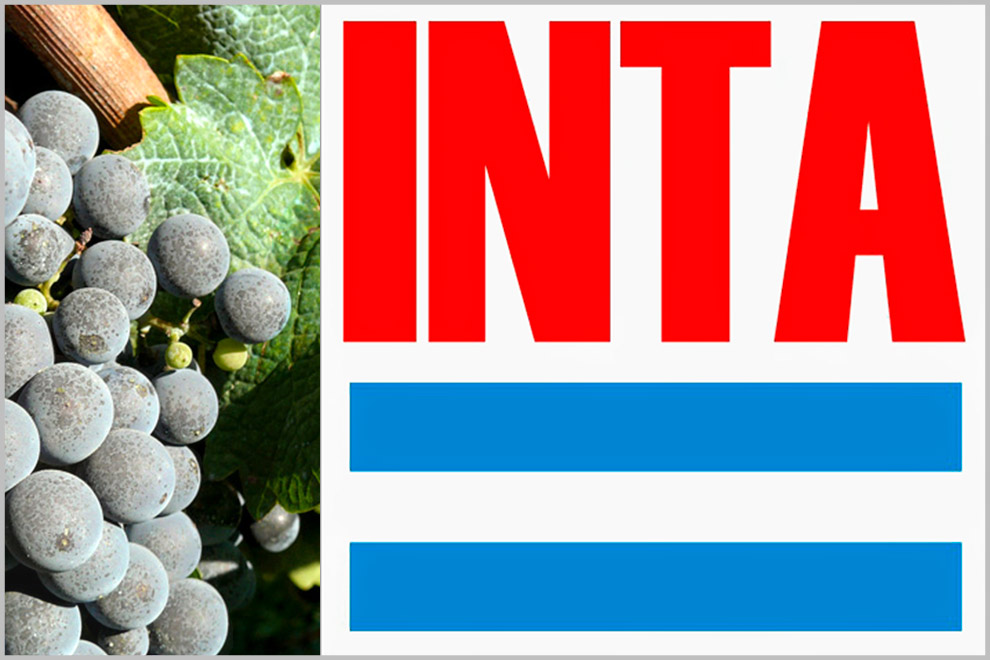 logo_inta_con_uvas-2