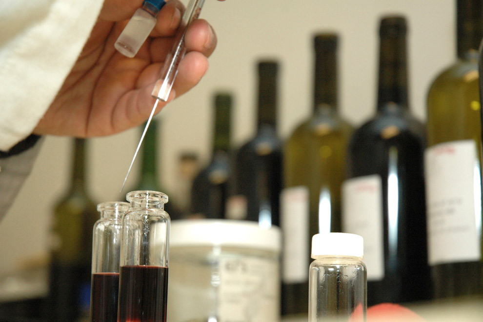 analisis-muestras-de-vinos