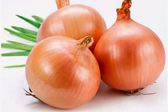 cebollas_sobre_fondo_blanco
