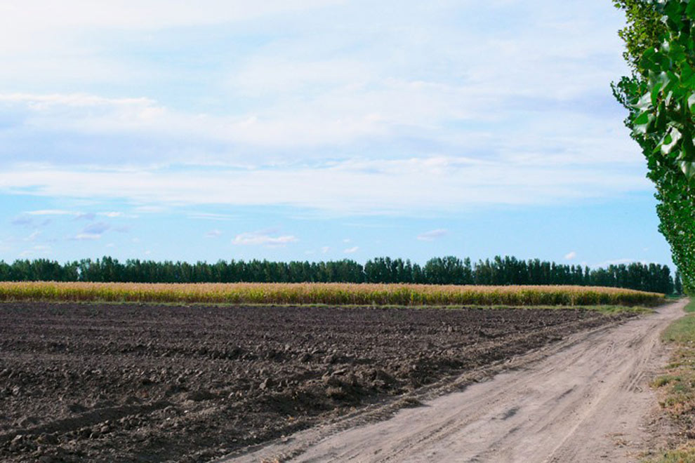 tierra_arada_en_finca_de_san_juan_2